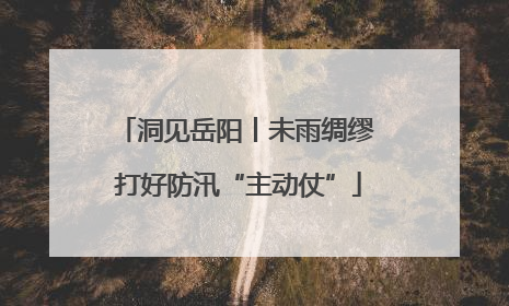 洞见岳阳丨未雨绸缪 打好防汛“主动仗”
