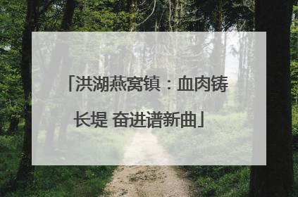 洪湖燕窝镇：血肉铸长堤 奋进谱新曲