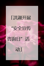 洪湖开展“安全宣传咨询日”活动