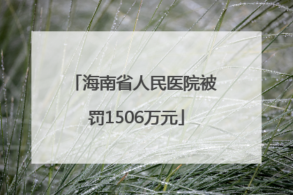 海南省人民医院被罚1506万元