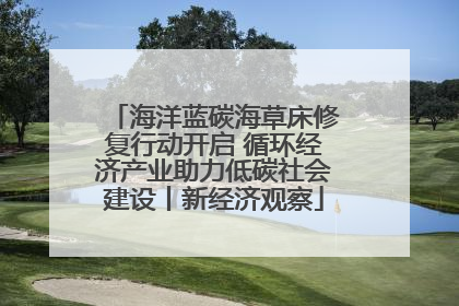 海洋蓝碳海草床修复行动开启 循环经济产业助力低碳社会建设丨新经济观察