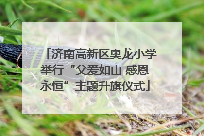 济南高新区奥龙小学举行“父爱如山 感恩永恒”主题升旗仪式