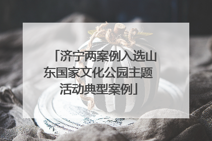 济宁两案例入选山东国家文化公园主题活动典型案例