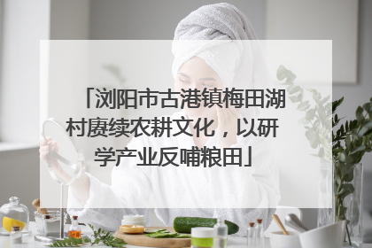 浏阳市古港镇梅田湖村赓续农耕文化，以研学产业反哺粮田