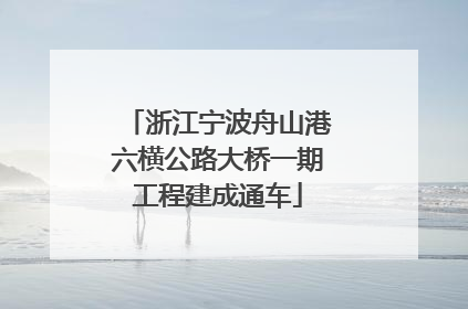 浙江宁波舟山港六横公路大桥一期工程建成通车