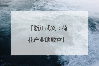 浙江武义：荷花产业助致富