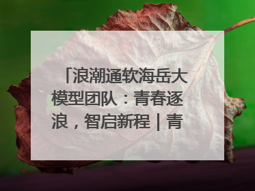 浪潮通软海岳大模型团队：青春逐浪，智启新程｜青春思政课