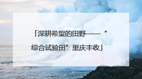 深耕希望的田野——“综合试验田”里庆丰收