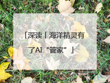 深读丨海洋精灵有了AI“管家”