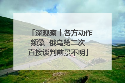 深观察丨各方动作频繁  俄乌第二次直接谈判前景不明