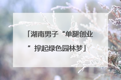 湖南男子“单腿创业”撑起绿色园林梦