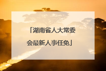 湖南省人大常委会最新人事任免