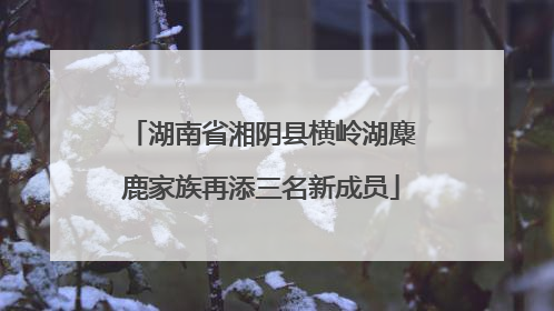 湖南省湘阴县横岭湖麋鹿家族再添三名新成员