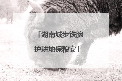湖南城步铁腕护耕地保粮安