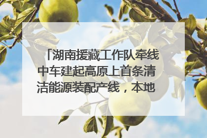 湖南援藏工作队牵线中车建起高原上首条清洁能源装配产线，本地大学生成车间检验员