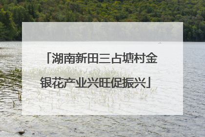 湖南新田三占塘村金银花产业兴旺促振兴