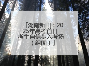 湖南新田：2025年高考首日 考生自信步入考场（组图）