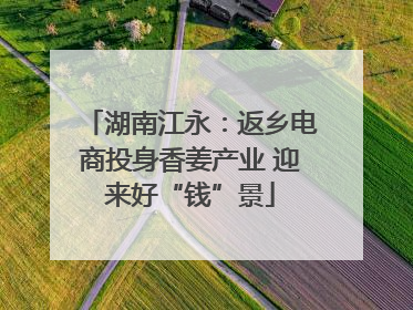 湖南江永：返乡电商投身香姜产业 迎来好“钱”景