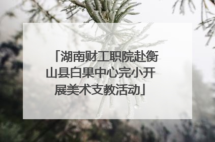 湖南财工职院赴衡山县白果中心完小开展美术支教活动
