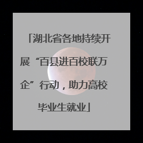 湖北省各地持续开展“百县进百校联万企”行动，助力高校毕业生就业