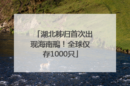 湖北秭归首次出现海南鳽！全球仅存1000只