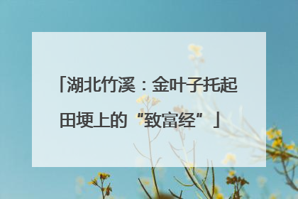 湖北竹溪：金叶子托起田埂上的“致富经”