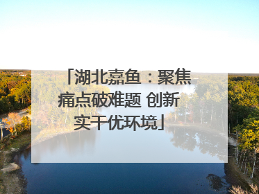 湖北嘉鱼：聚焦痛点破难题 创新实干优环境