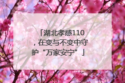 湖北孝感110，在变与不变中守护“万家安宁”