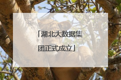 湖北大数据集团正式成立