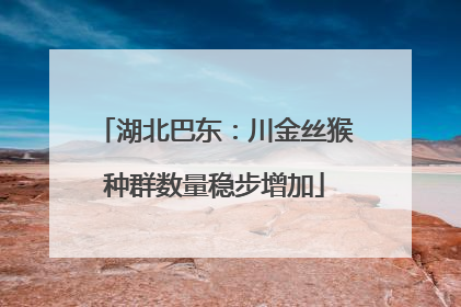 湖北巴东：川金丝猴种群数量稳步增加