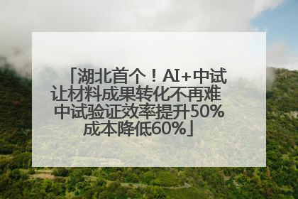 湖北首个！AI+中试让材料成果转化不再难 中试验证效率提升50%成本降低60%
