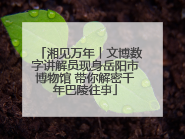 湘见万年丨文博数字讲解员现身岳阳市博物馆 带你解密千年巴陵往事