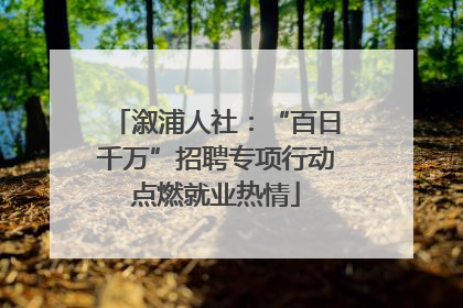 溆浦人社：“百日千万”招聘专项行动点燃就业热情
