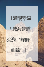 满眼翠绿！威海步道变身“绿野仙踪”