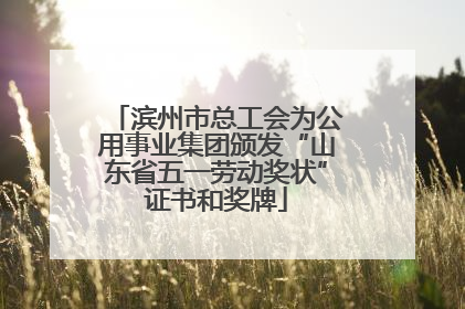 滨州市总工会为公用事业集团颁发“山东省五一劳动奖状”证书和奖牌