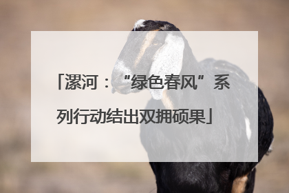 漯河：“绿色春风”系列行动结出双拥硕果