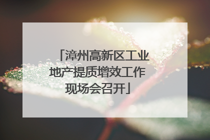 漳州高新区工业地产提质增效工作现场会召开