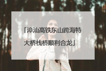 漳汕高铁东山跨海特大桥栈桥顺利合龙