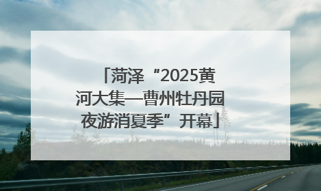 菏泽“2025黄河大集—曹州牡丹园夜游消夏季”开幕