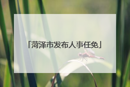 菏泽市发布人事任免