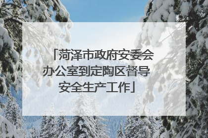 菏泽市政府安委会办公室到定陶区督导安全生产工作