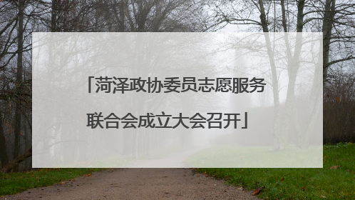 菏泽政协委员志愿服务联合会成立大会召开