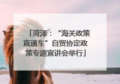 菏泽：“海关政策直通车”自贸协定政策专题宣讲会举行