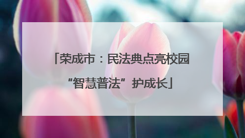 荣成市：民法典点亮校园 “智慧普法”护成长