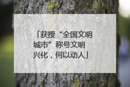 获授“全国文明城市”称号文明 兴化，何以动人