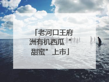 老河口王府洲有机西瓜“甜蜜”上市