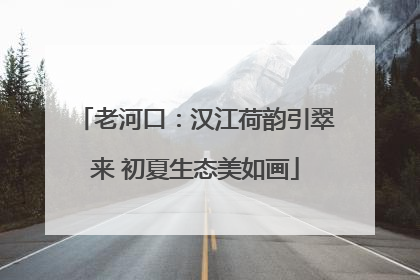 老河口：汉江荷韵引翠来 初夏生态美如画
