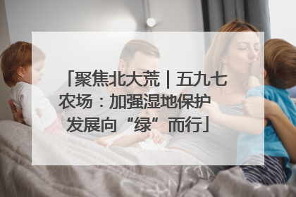 聚焦北大荒｜五九七农场：加强湿地保护 发展向“绿”而行