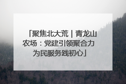 聚焦北大荒｜青龙山农场：党建引领聚合力 为民服务践初心