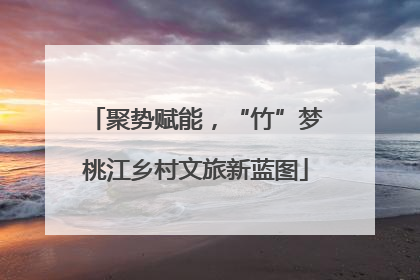聚势赋能，“竹”梦桃江乡村文旅新蓝图